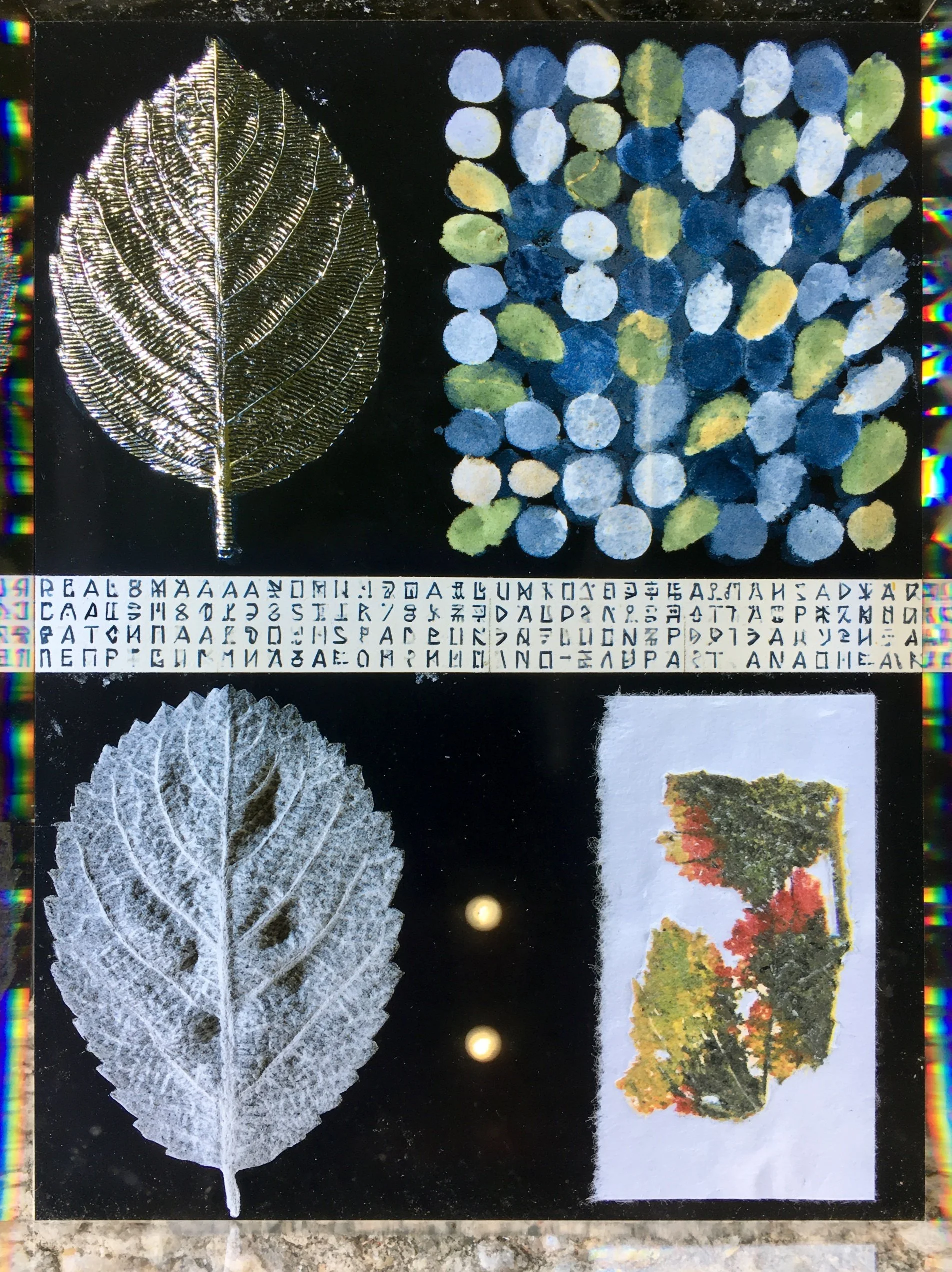 IMG_8416.JPG