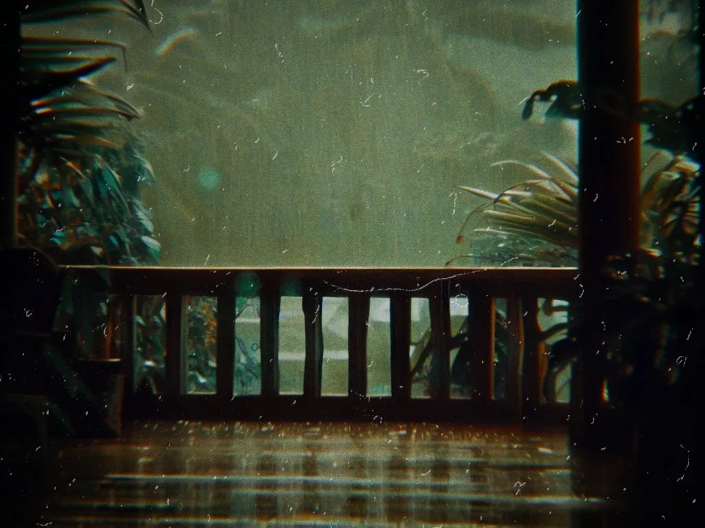 RNI-Films-IMG-69F70F6C-7BDF-453B-A8B6-A801B5290413.JPG
