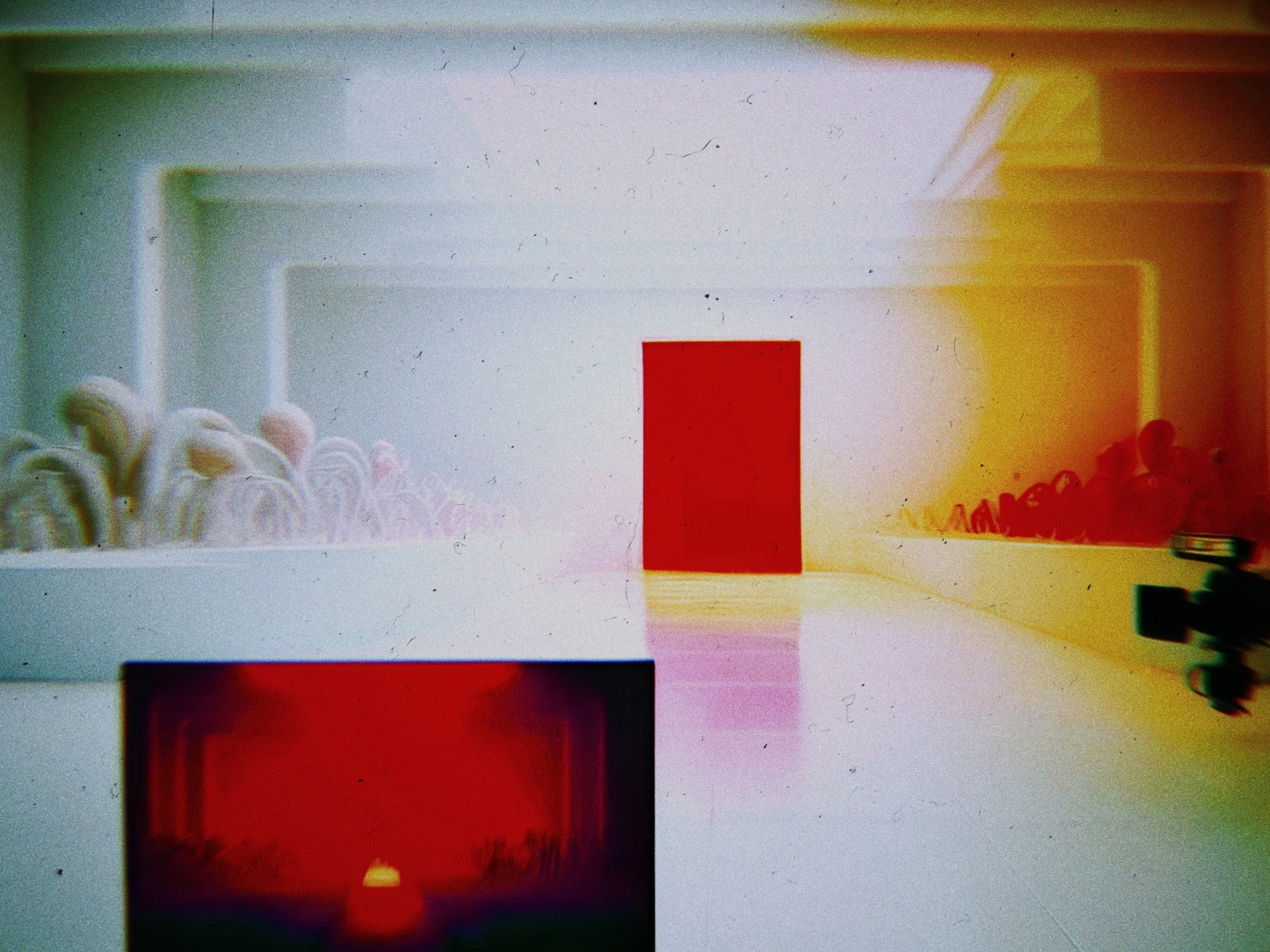 RNI-Films-IMG-8FC3C6CB-3385-46CF-B4BE-7A912B03DFFB.JPG