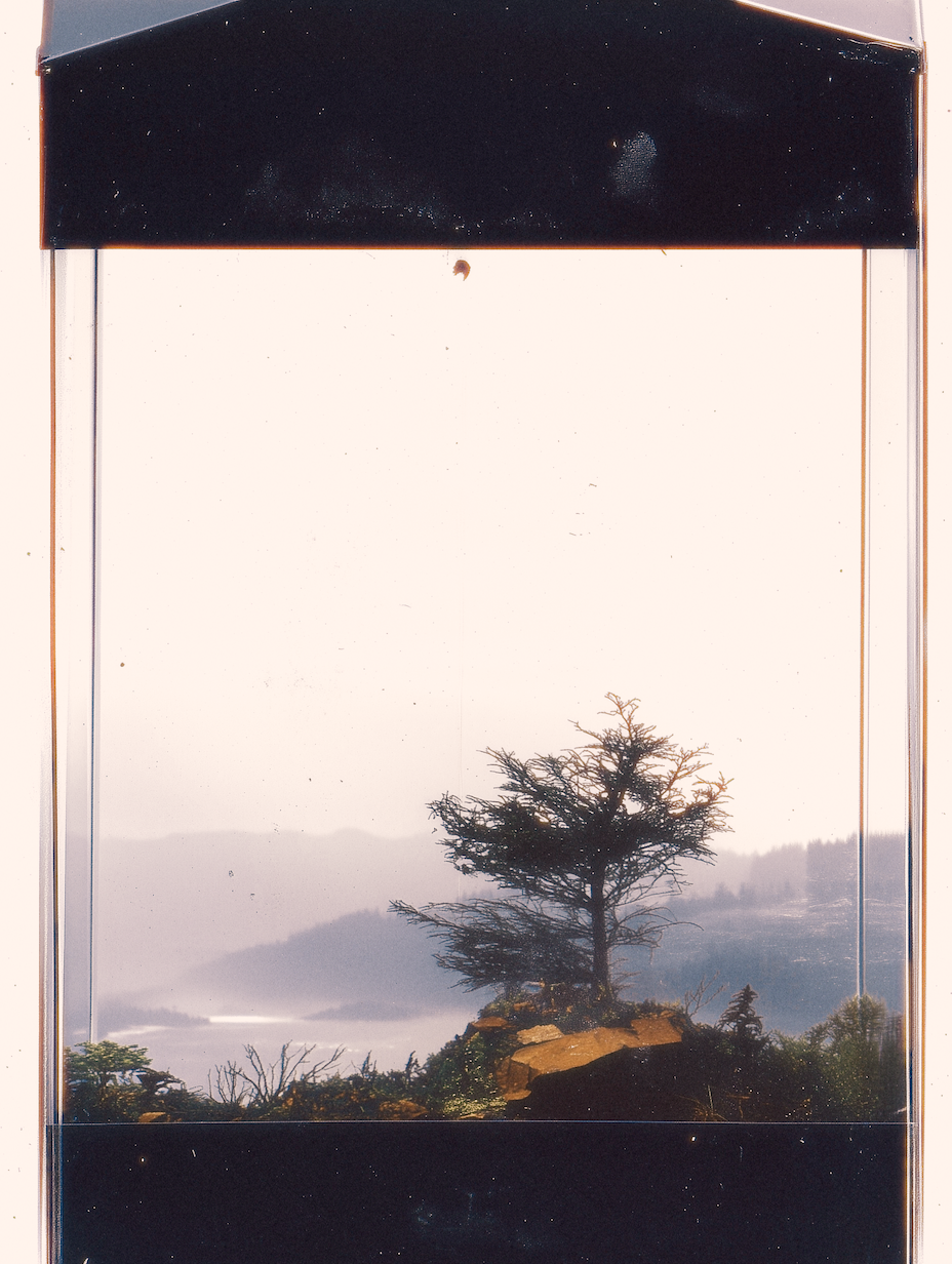 IMG_7025.PNG