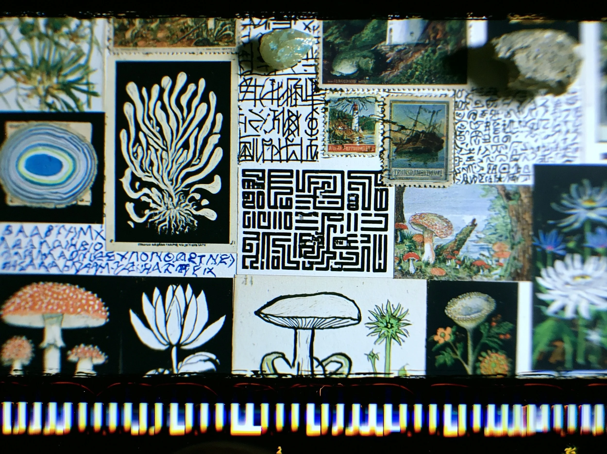 interdimensional collage