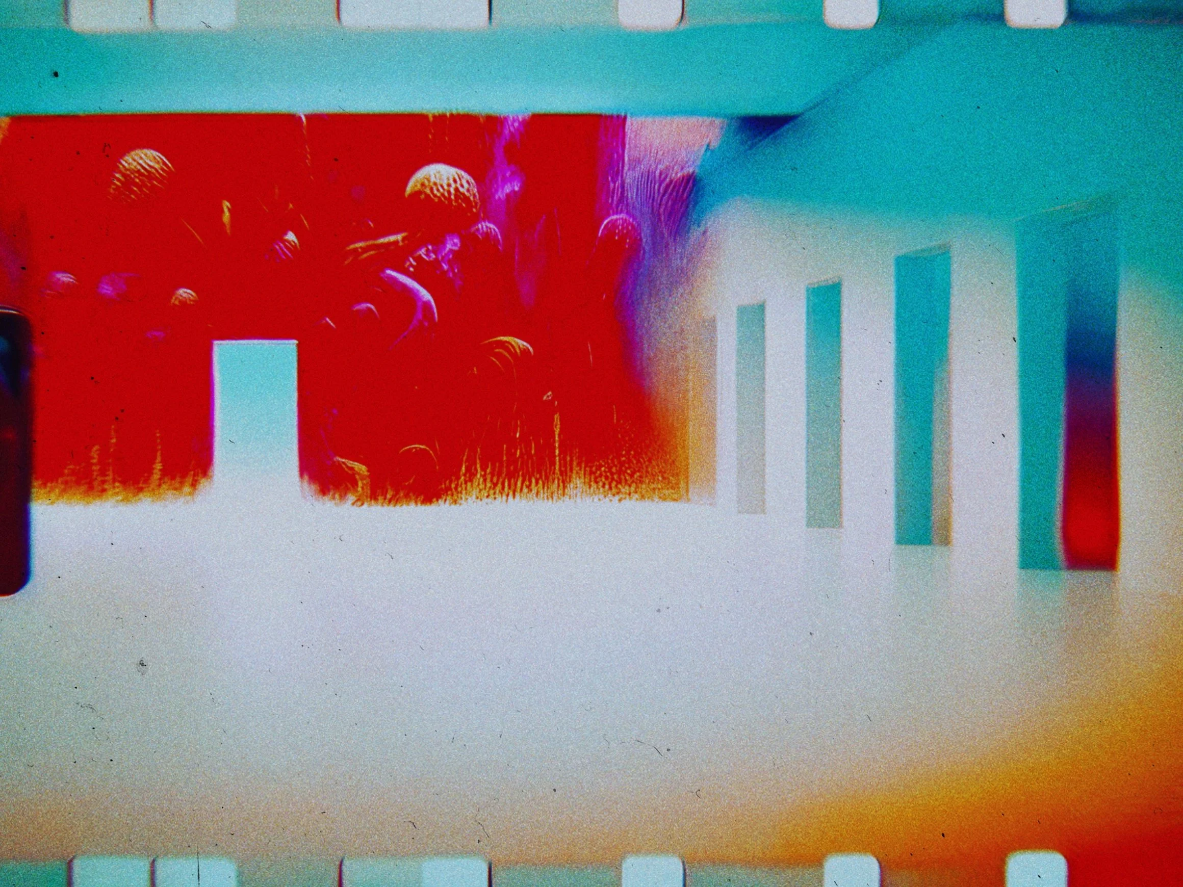 RNI-Films-IMG-95DEA13C-4B1E-4BF0-84D1-B348F566E2E0.JPG