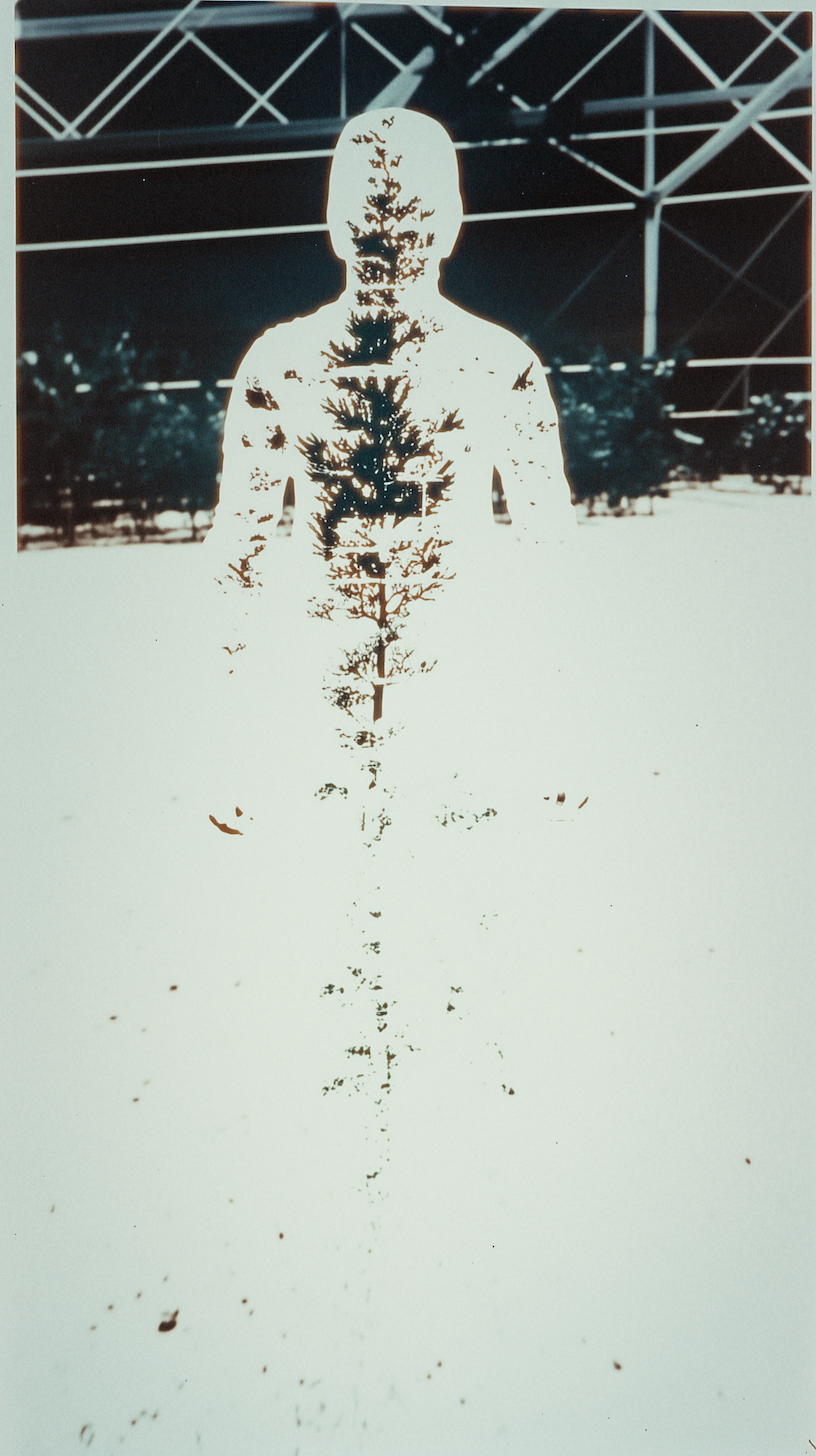 IMG_6760 2.PNG