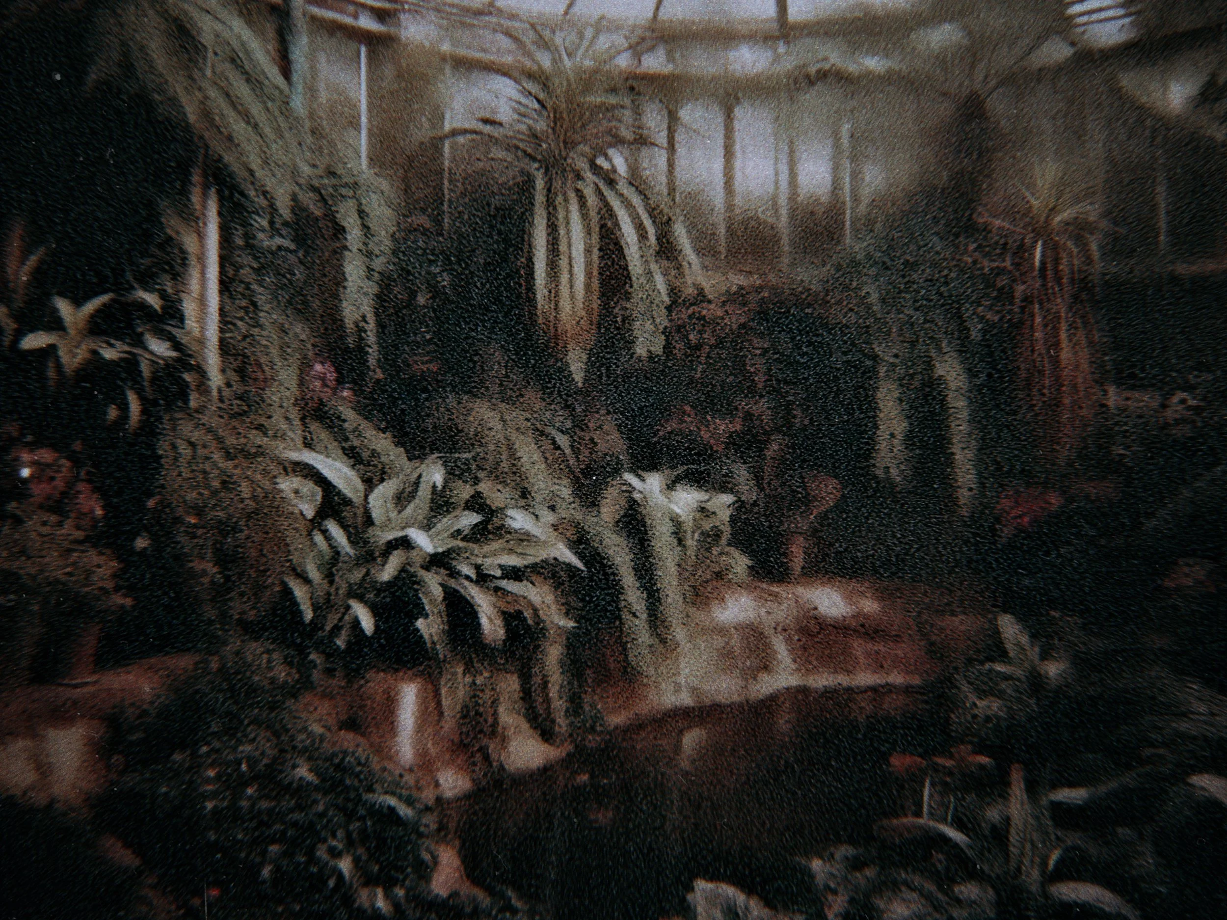 RNI-Films-IMG-1537BC90-A20E-44C1-9316-F8C2682590B8.JPG