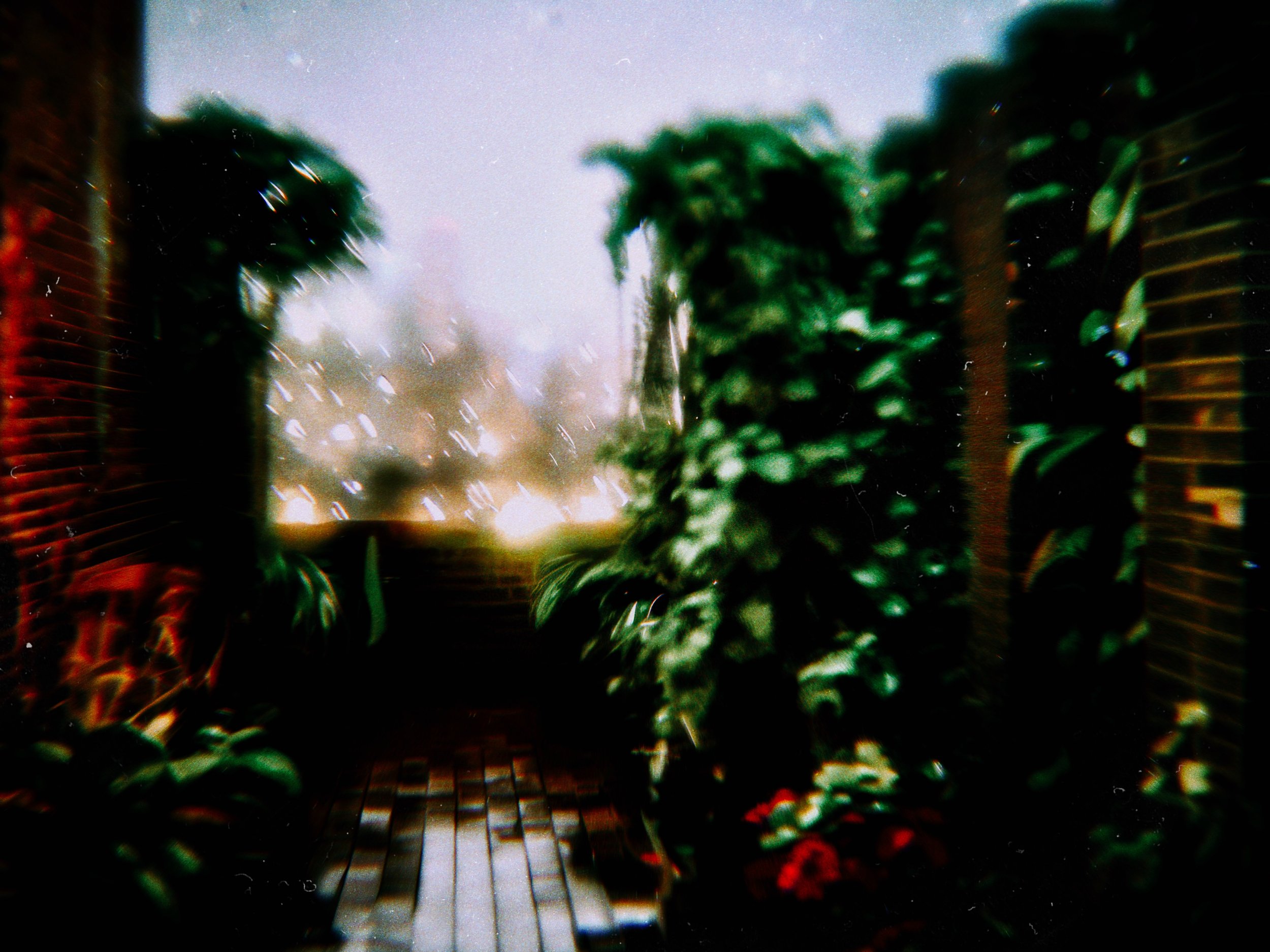 RNI-Films-IMG-3E409EF2-BFDA-4C07-82A9-D79CC3856DF0.JPG