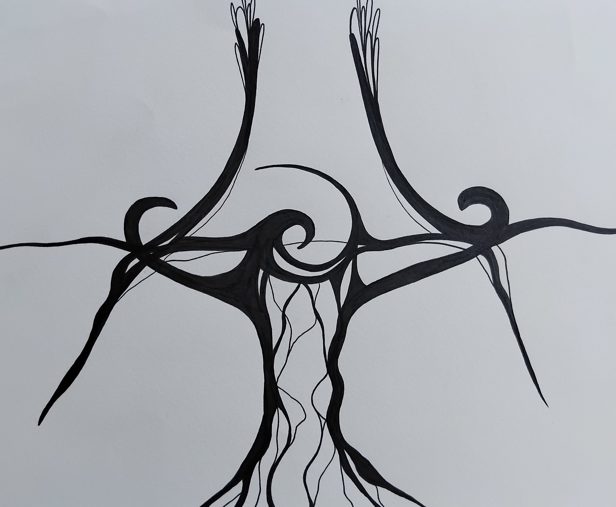 IMG_20240924_131937 Copy.jpeg