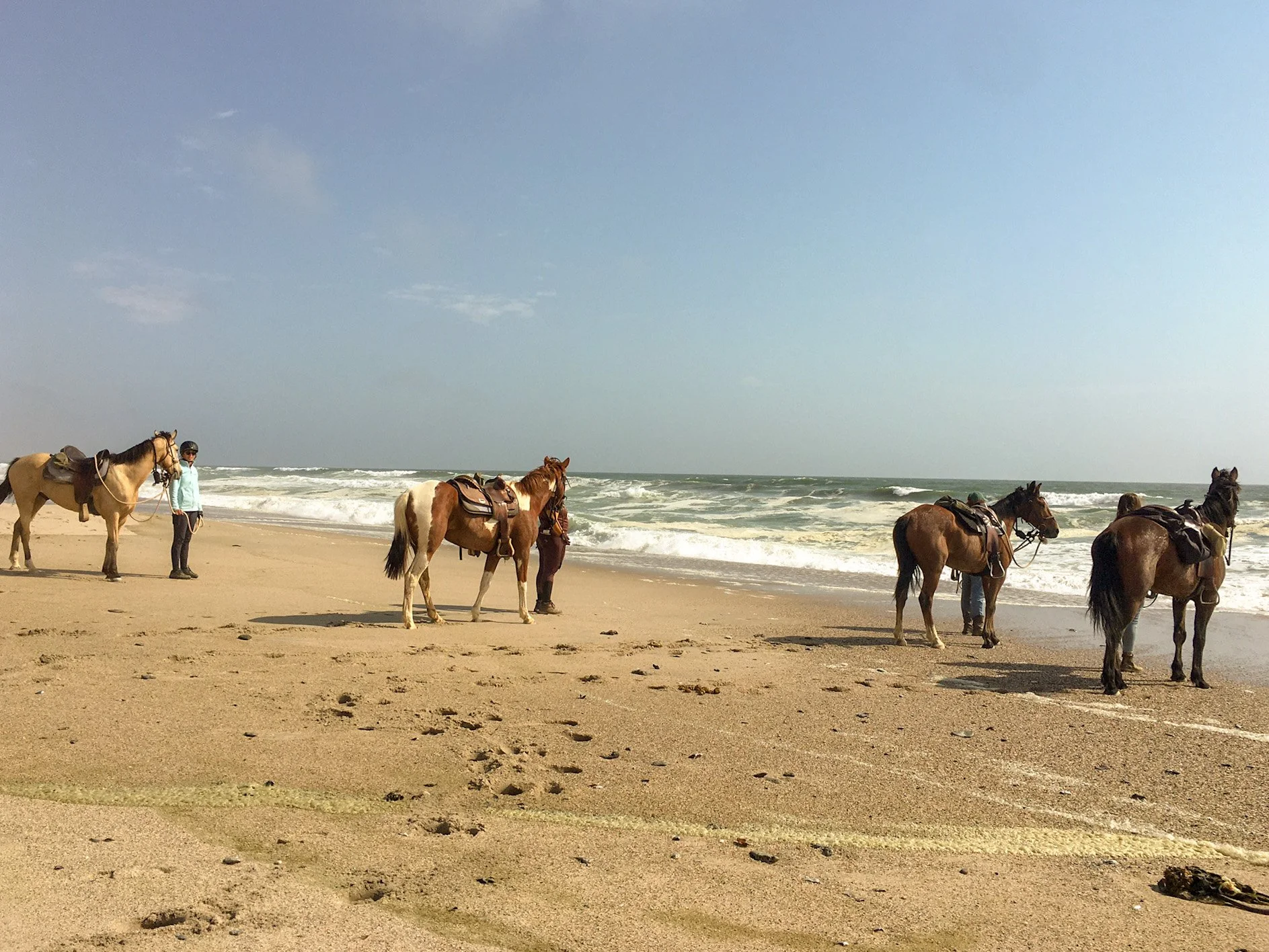 Küstentrail African Outrides