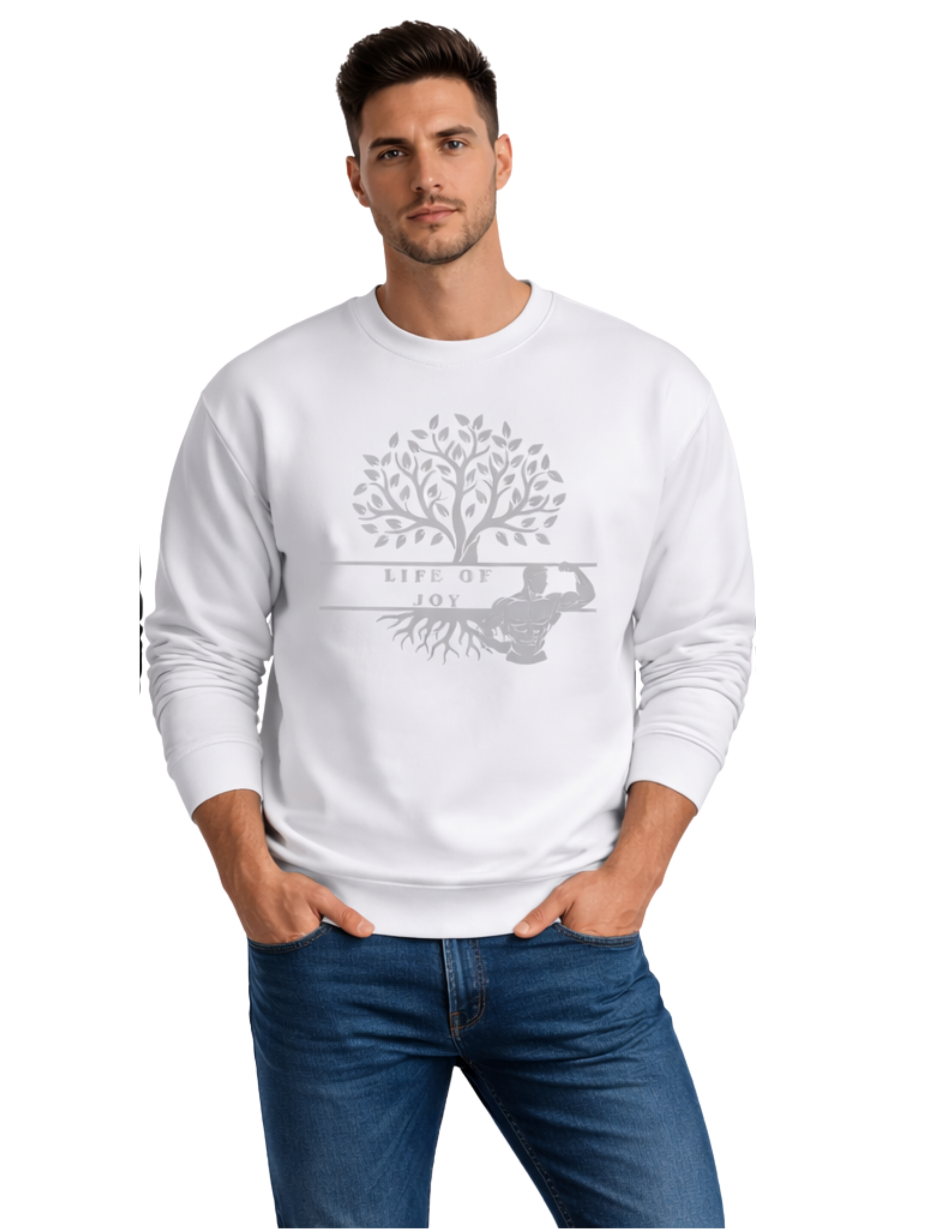 Life of Joy Men's Sweatshirt