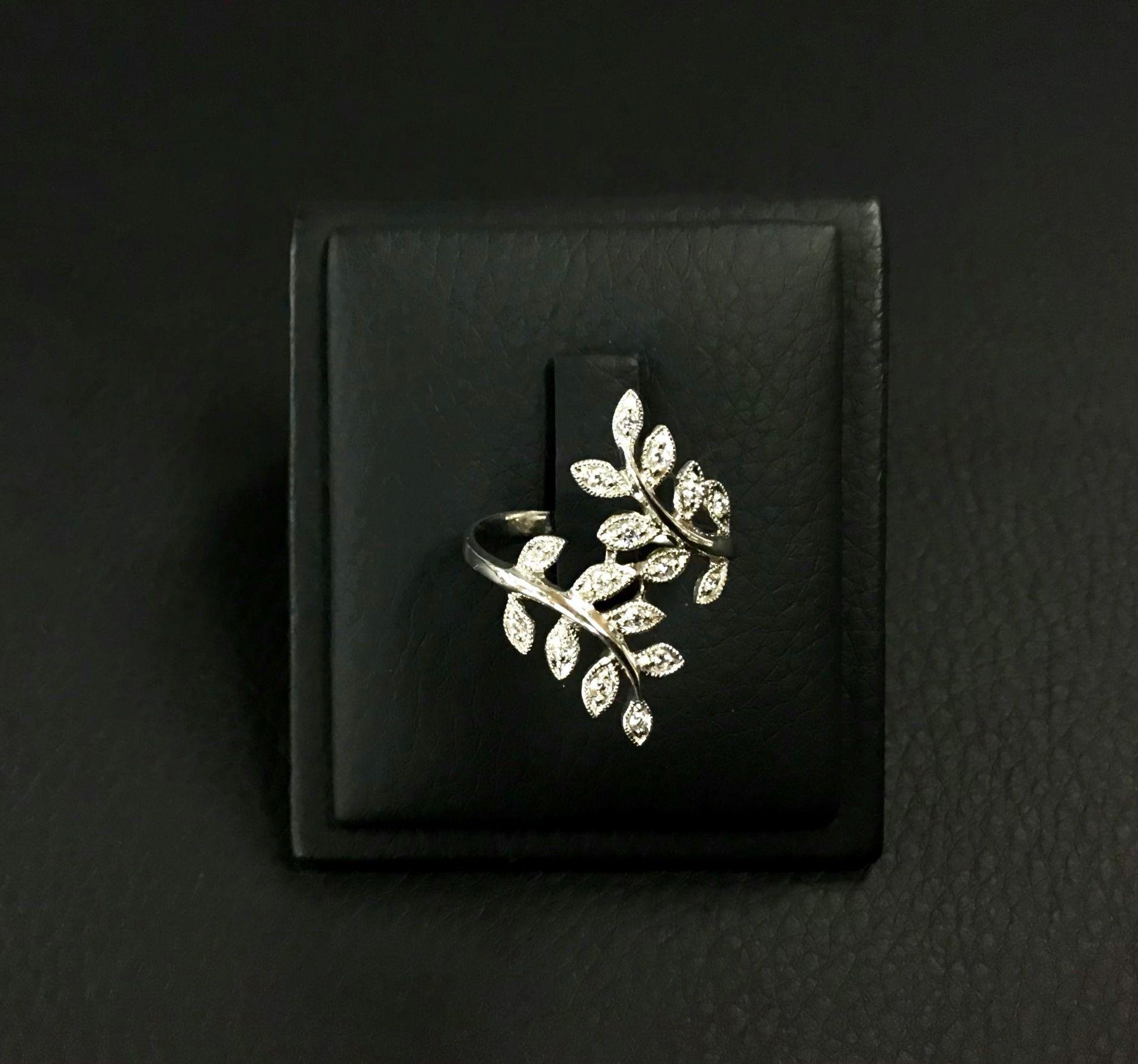 https://i.etsystatic.com/54695685/r/il/8d1caa/6511571534/il_fullxfull.6511571534_rk5n.jpg