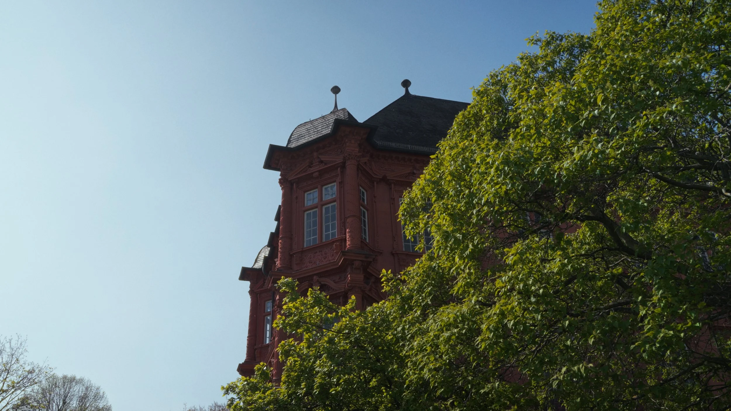 Still 2025-10-24 143759_2.1.1.jpg