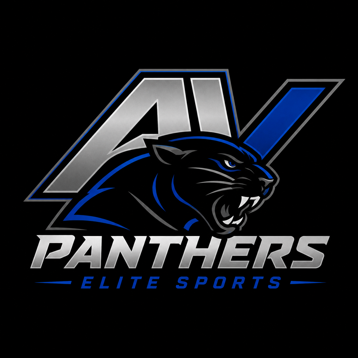 AV Panthers Basketball