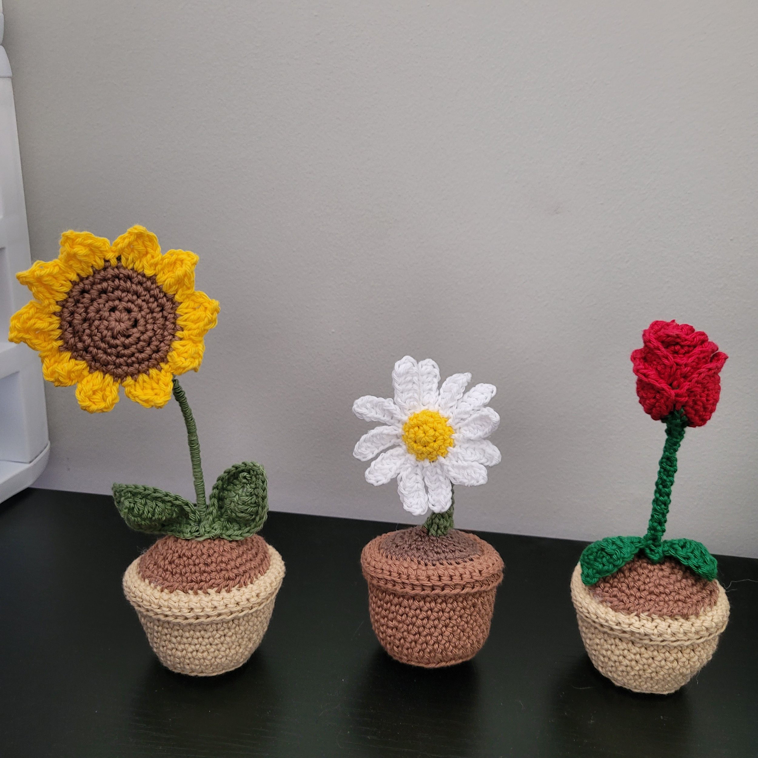 NEW Spring Collection!