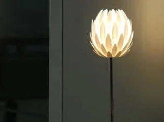 MXG+-+LILY.jpg