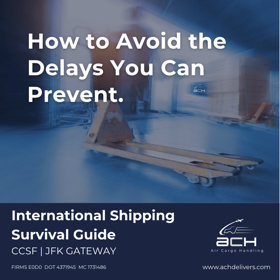 International Shipping Survival Guide: How to Avoid the Delays You Can Prevent