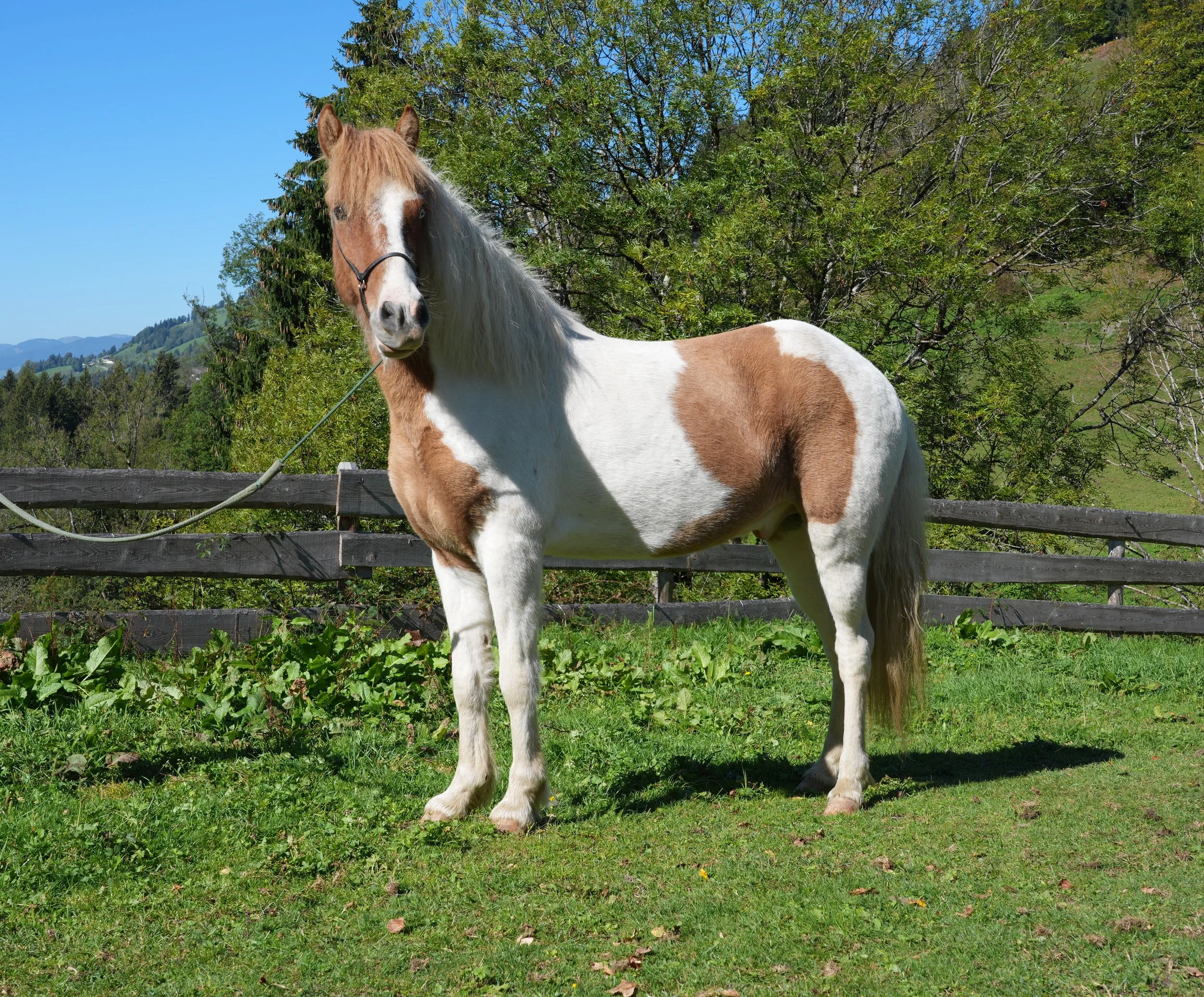 DSC09871_.jpg