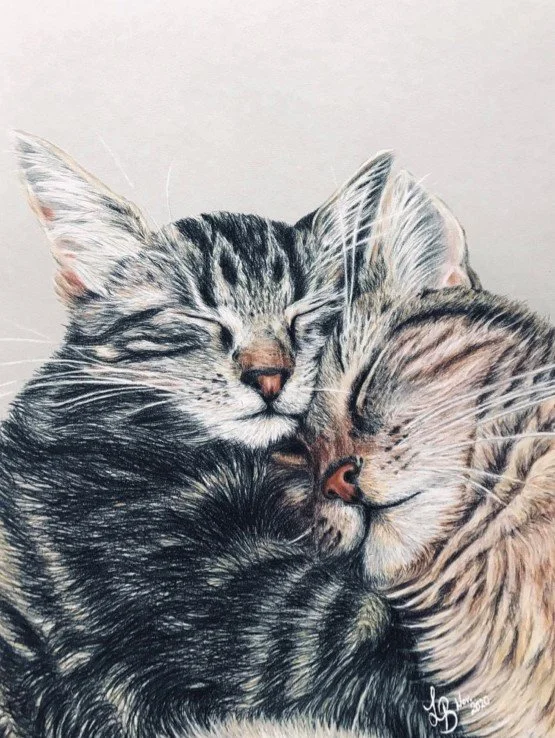 Soury & Hummelbums.jpeg