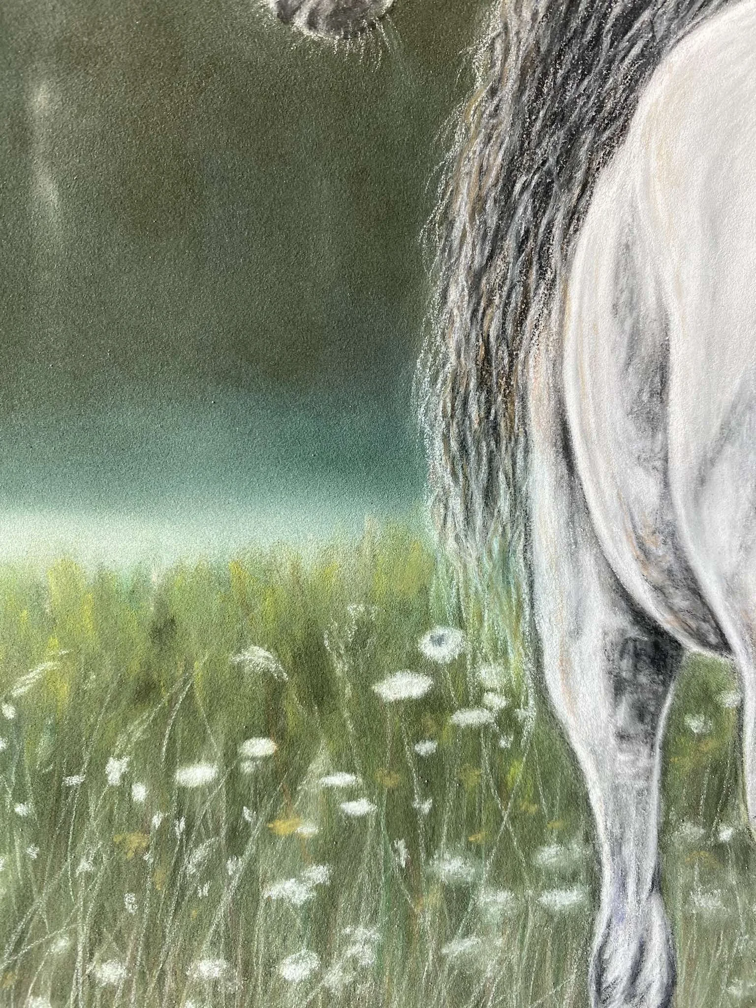 A close-up of a white horse's head and mane, standing in a grassy field with flowers, under a cloudy sky.