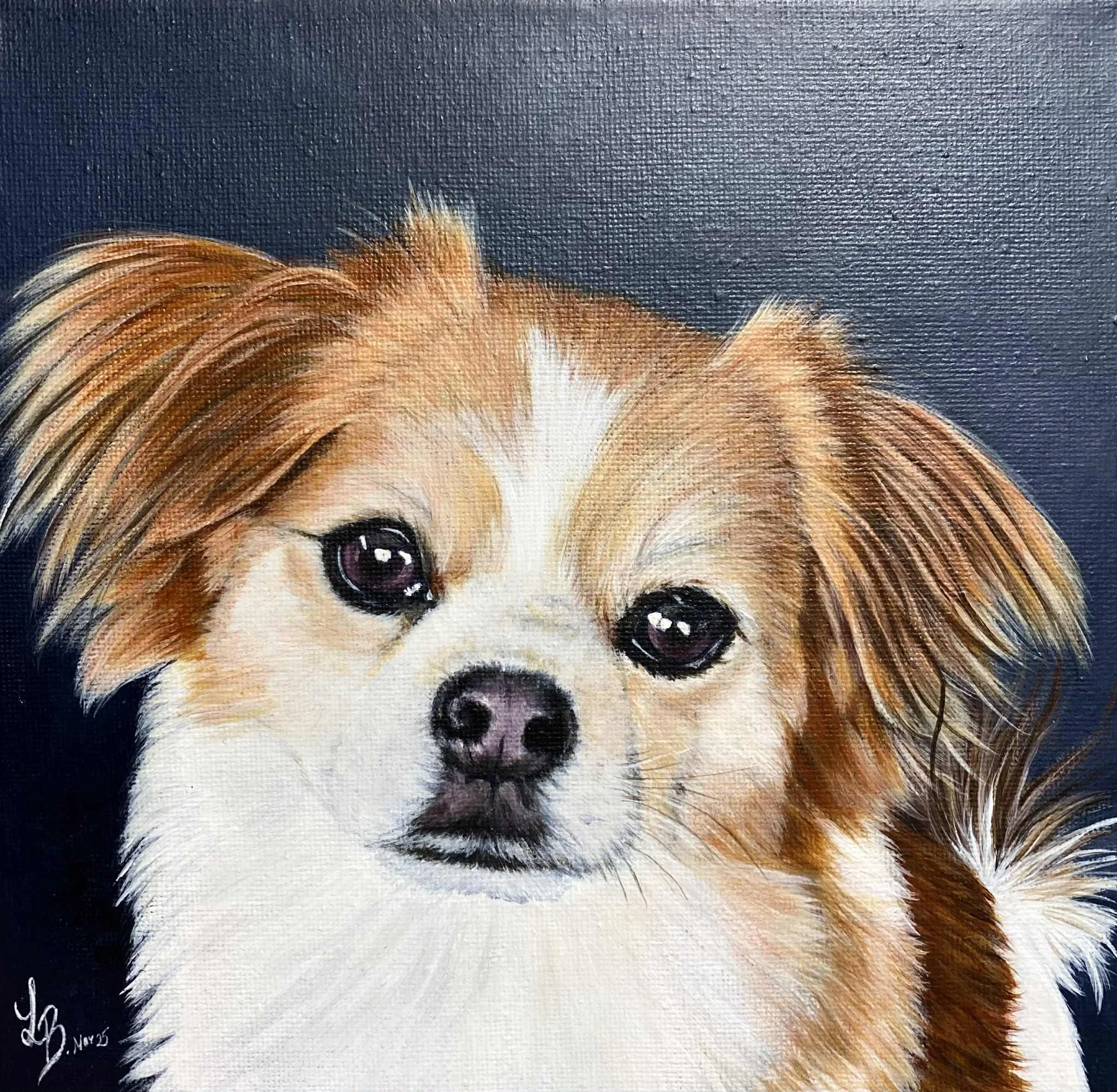 Gemälde eines kleinen Hundes mit braunem und weißem Fell, großen dunklen Augen und einer schwarzen Nase auf dunkelblauem Hintergrund.