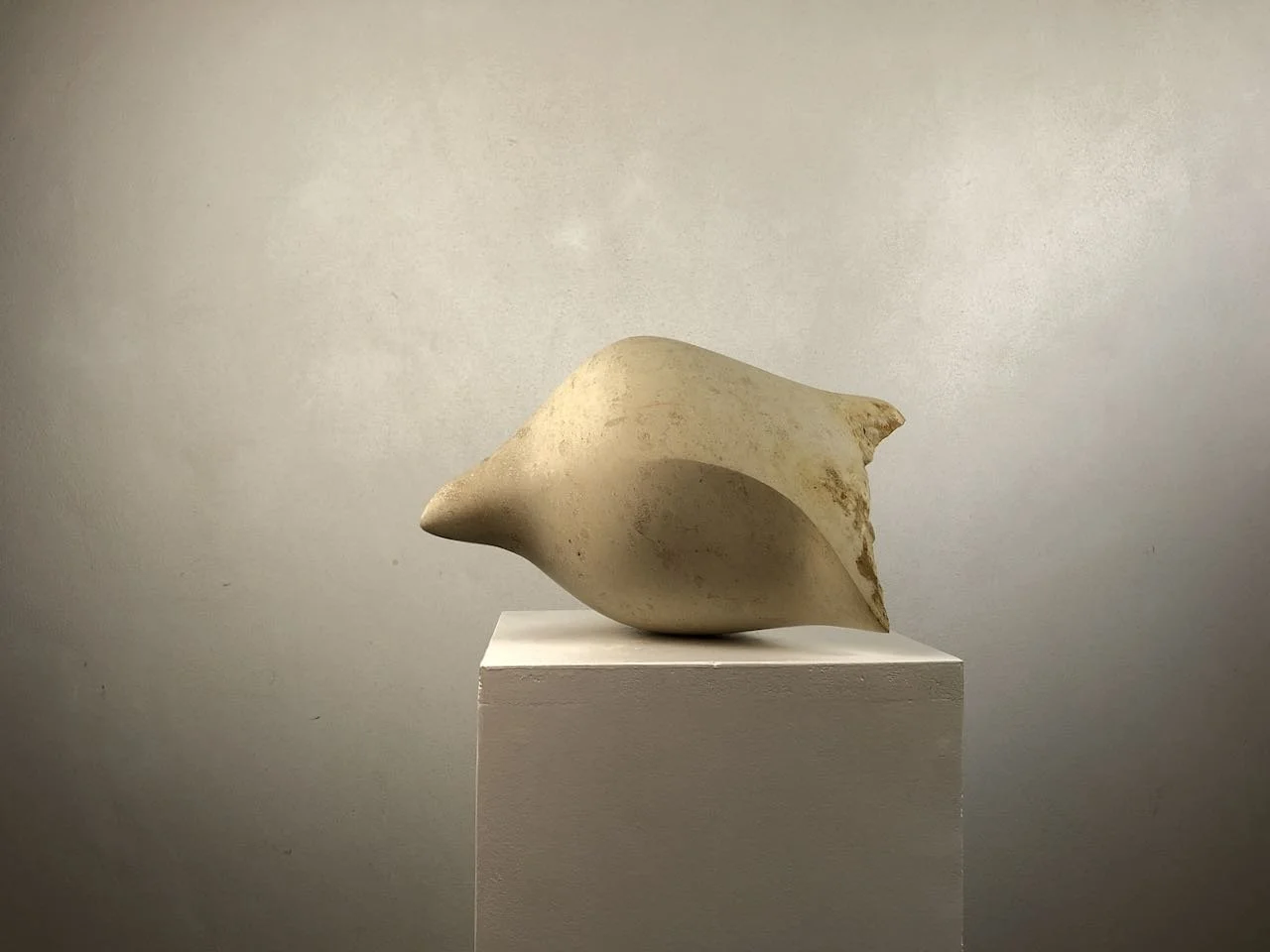 eigen Sinn - 1 (1).jpeg