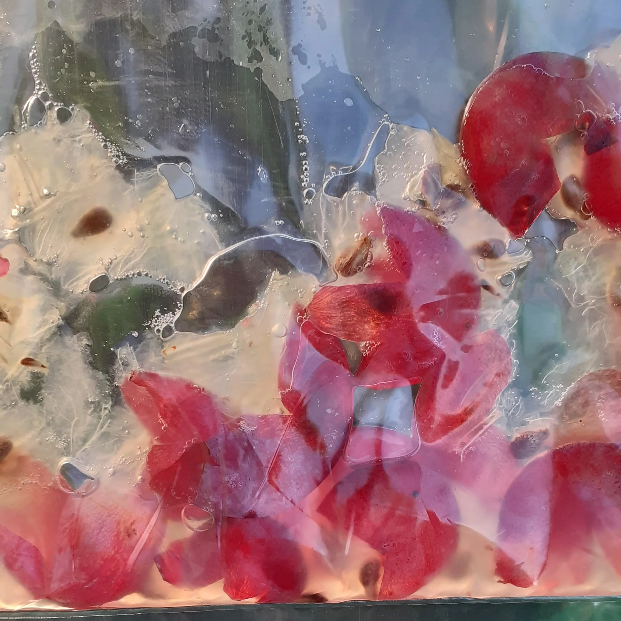 Vinyes del Tiet Pere