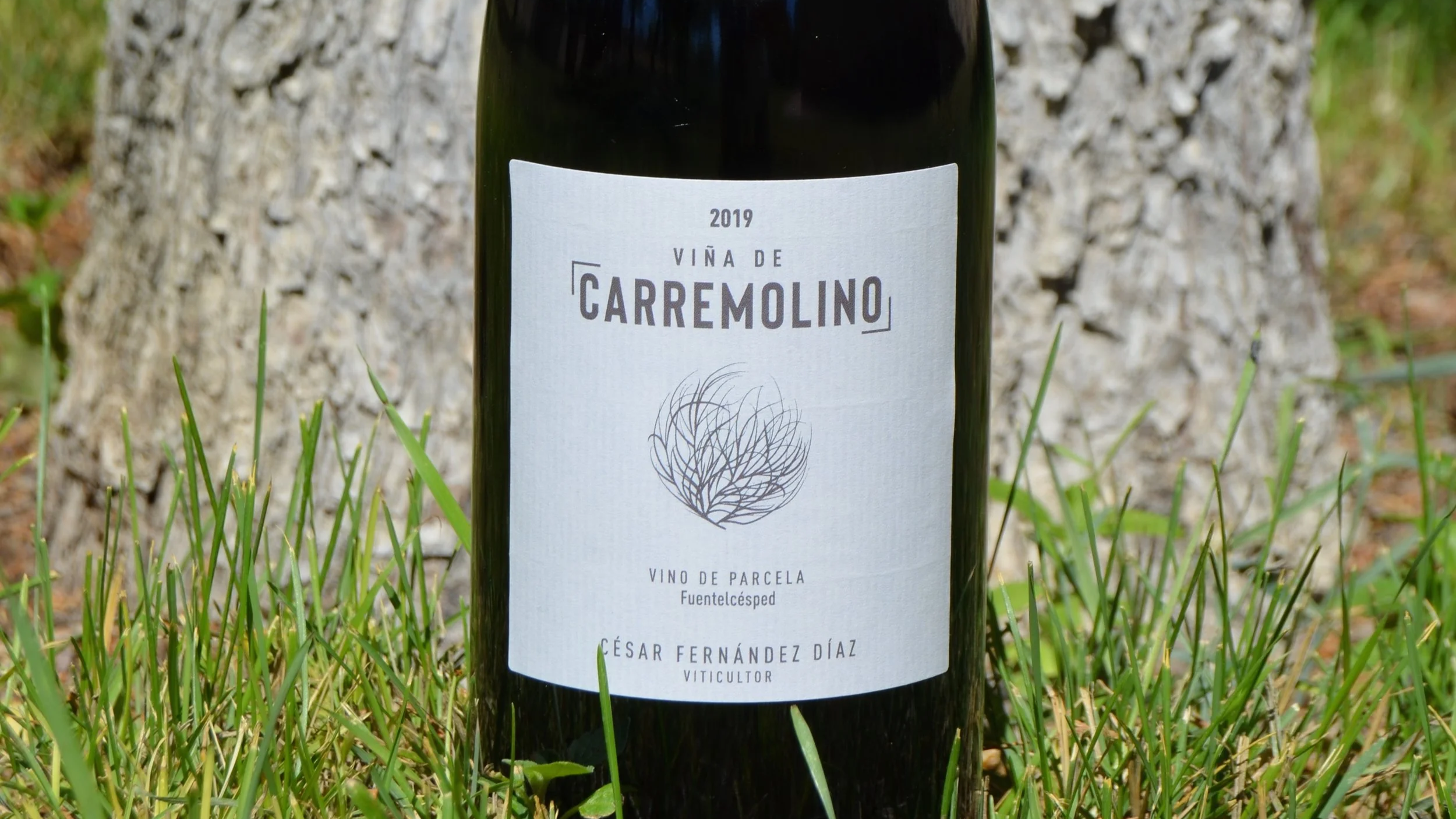 César Fernández Díaz