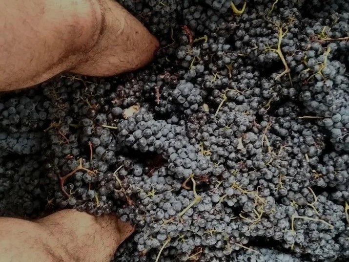 César Fernández Díaz