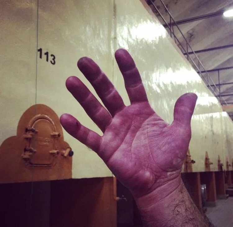 La Calandria - Pura Garnacha