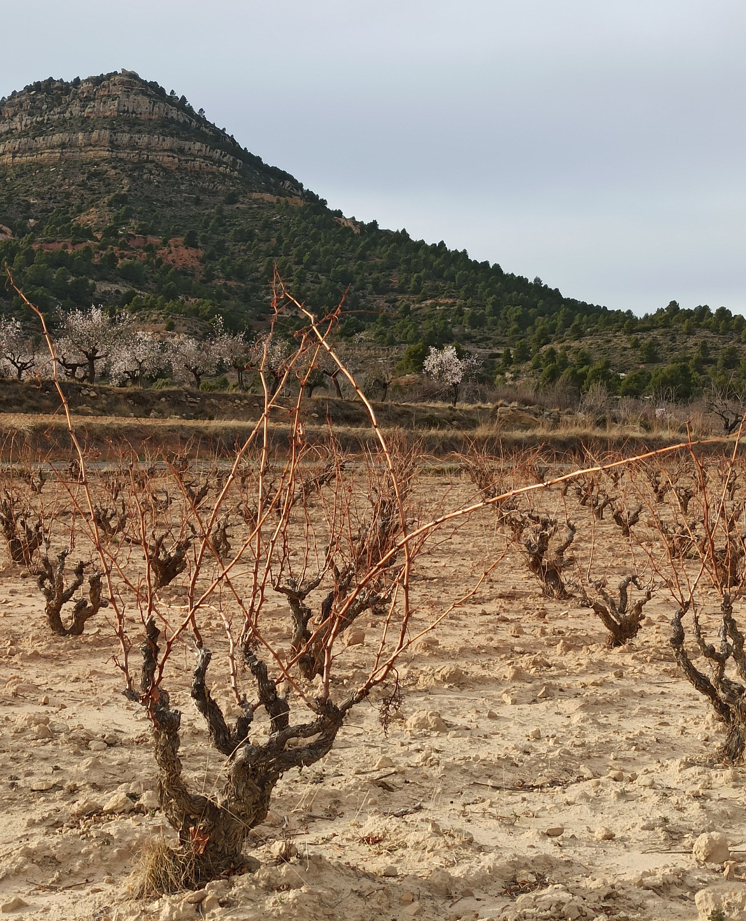 Entre Aldeas - Andrés Vergara