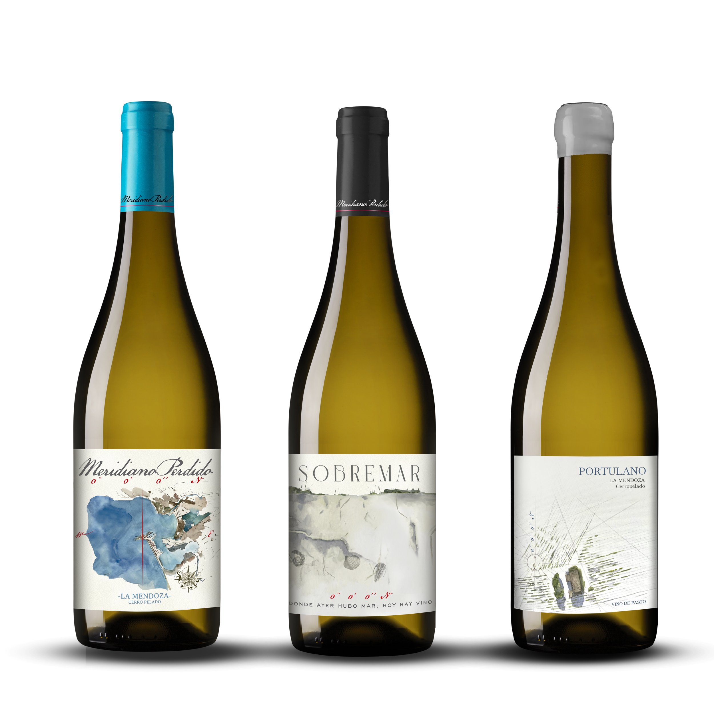 Gama vinos B. Meridiano.jpg