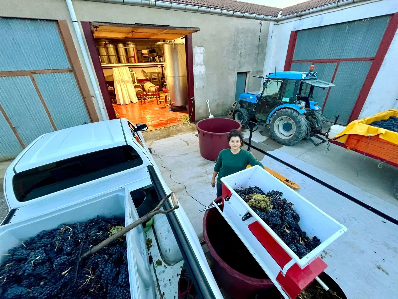 Guardianes del Reyno