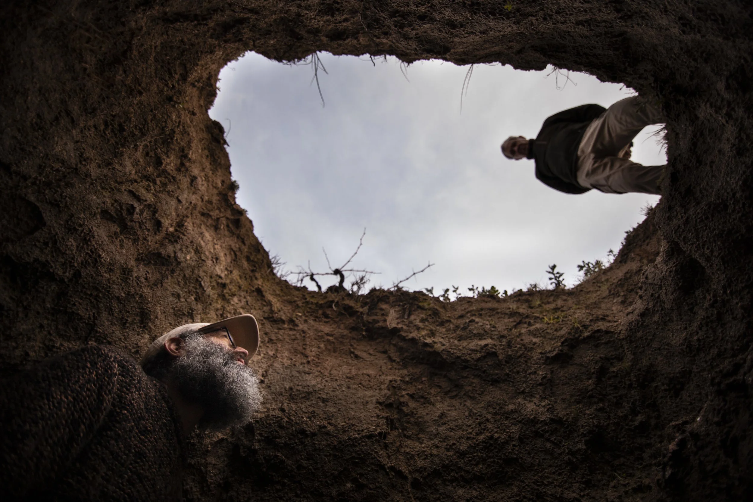 Vitícola Mentridana