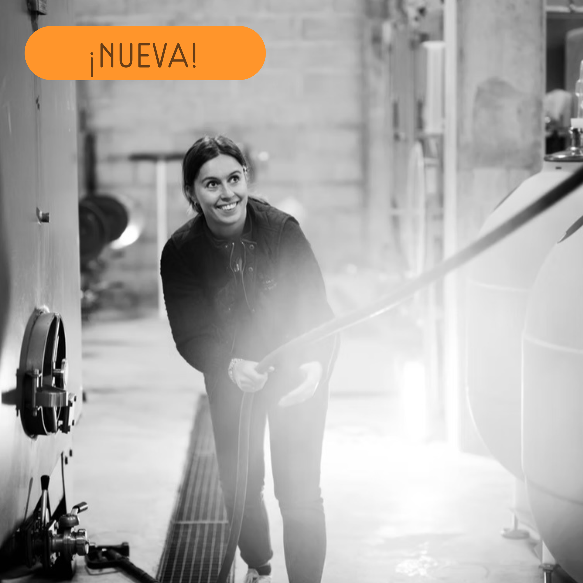 Domaine Les Monts Fournois