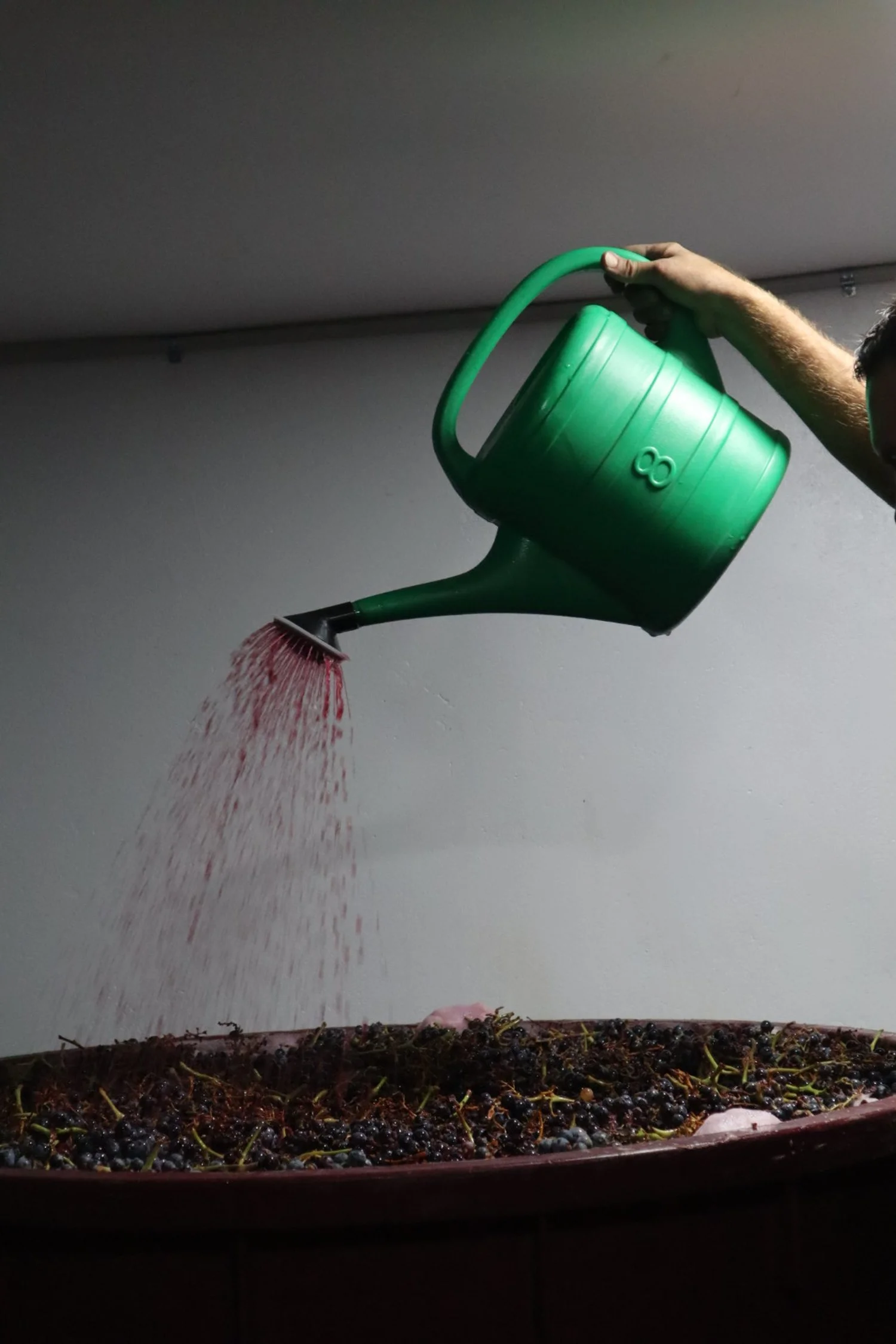 Jorge Temprado Viticultor