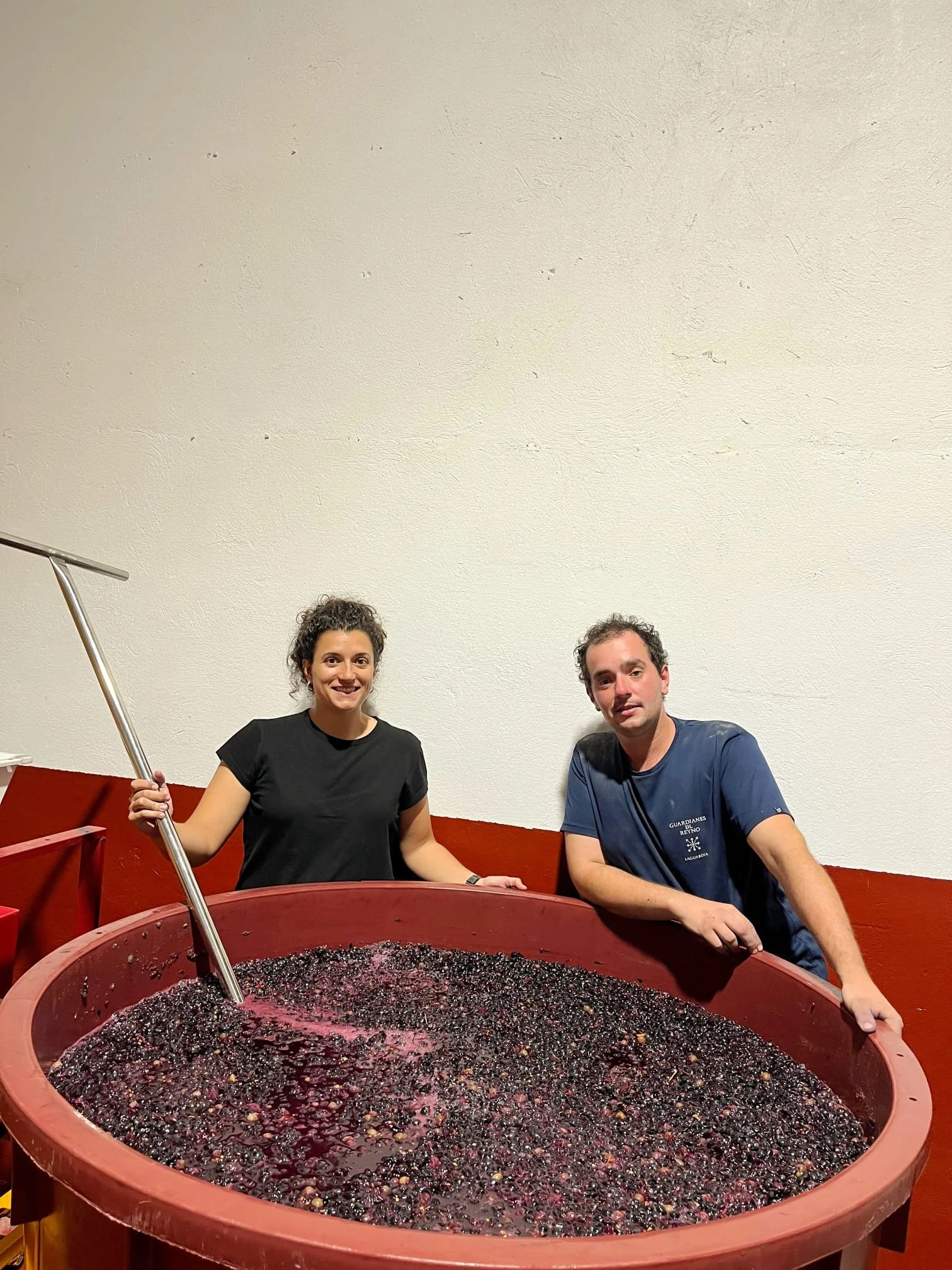 Guardianes del Reyno