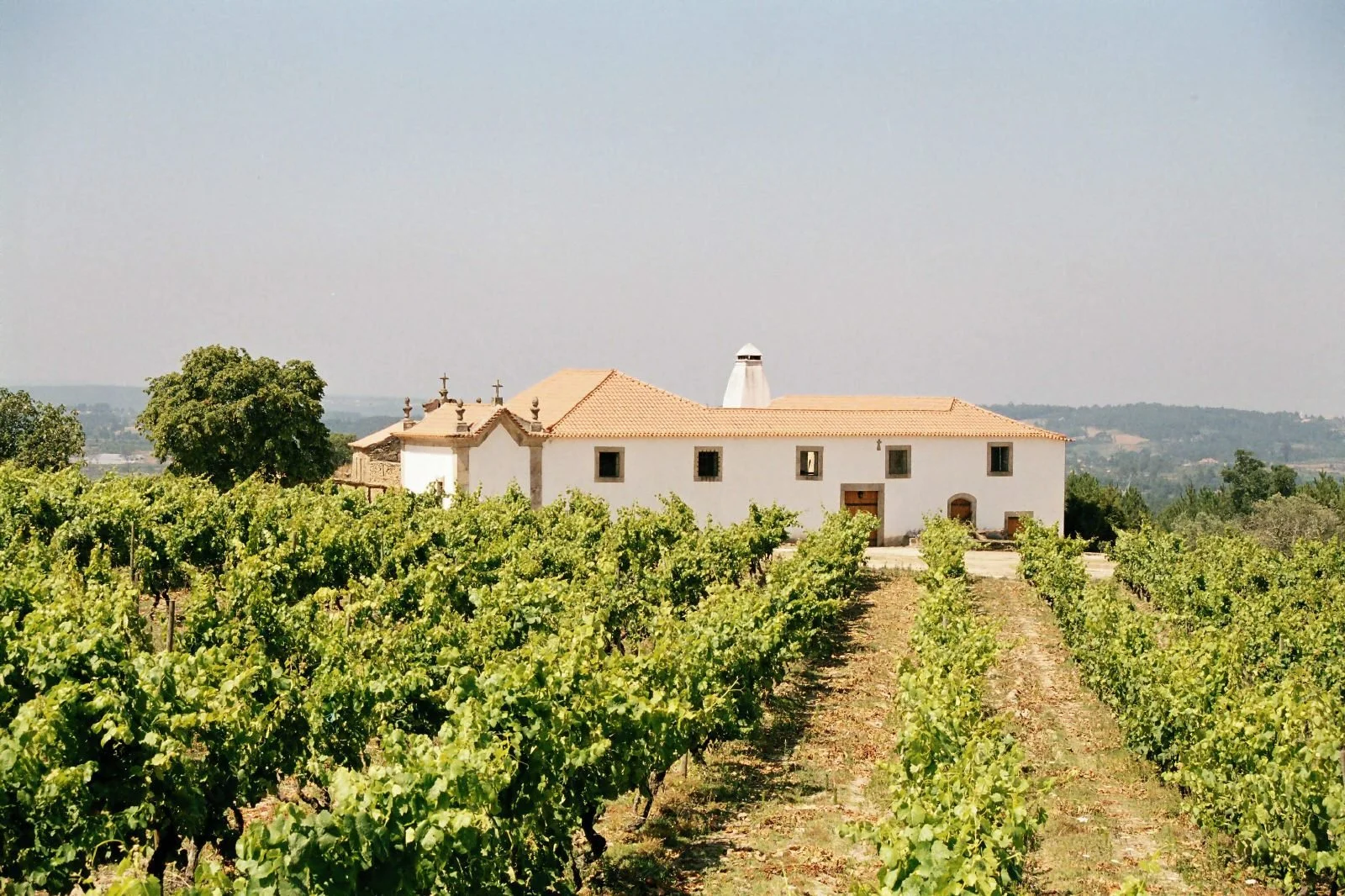 Quinta da Pellada