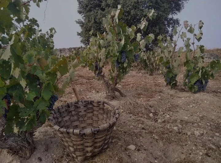 César Fernández Díaz