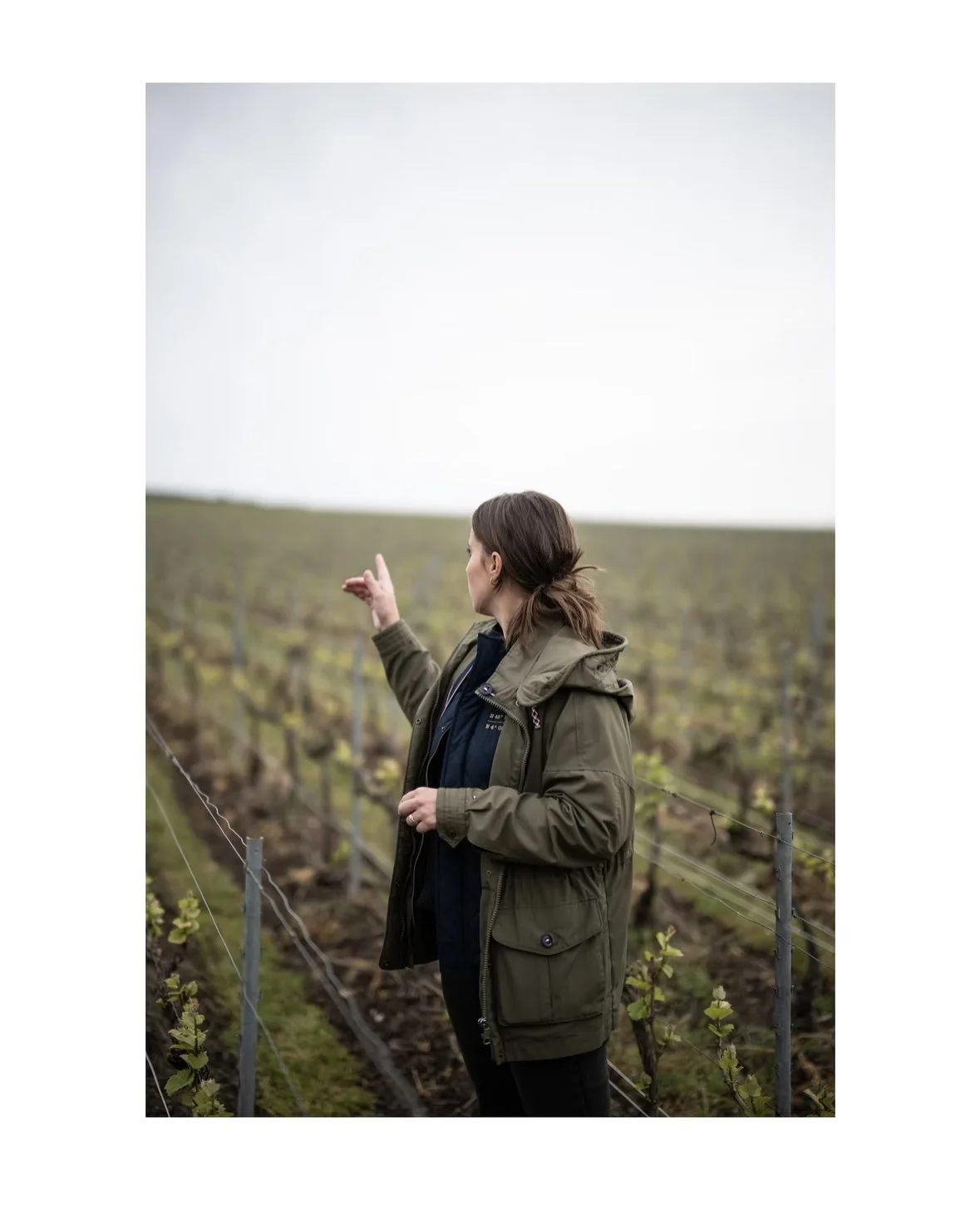 Domaine Les Monts Fournois