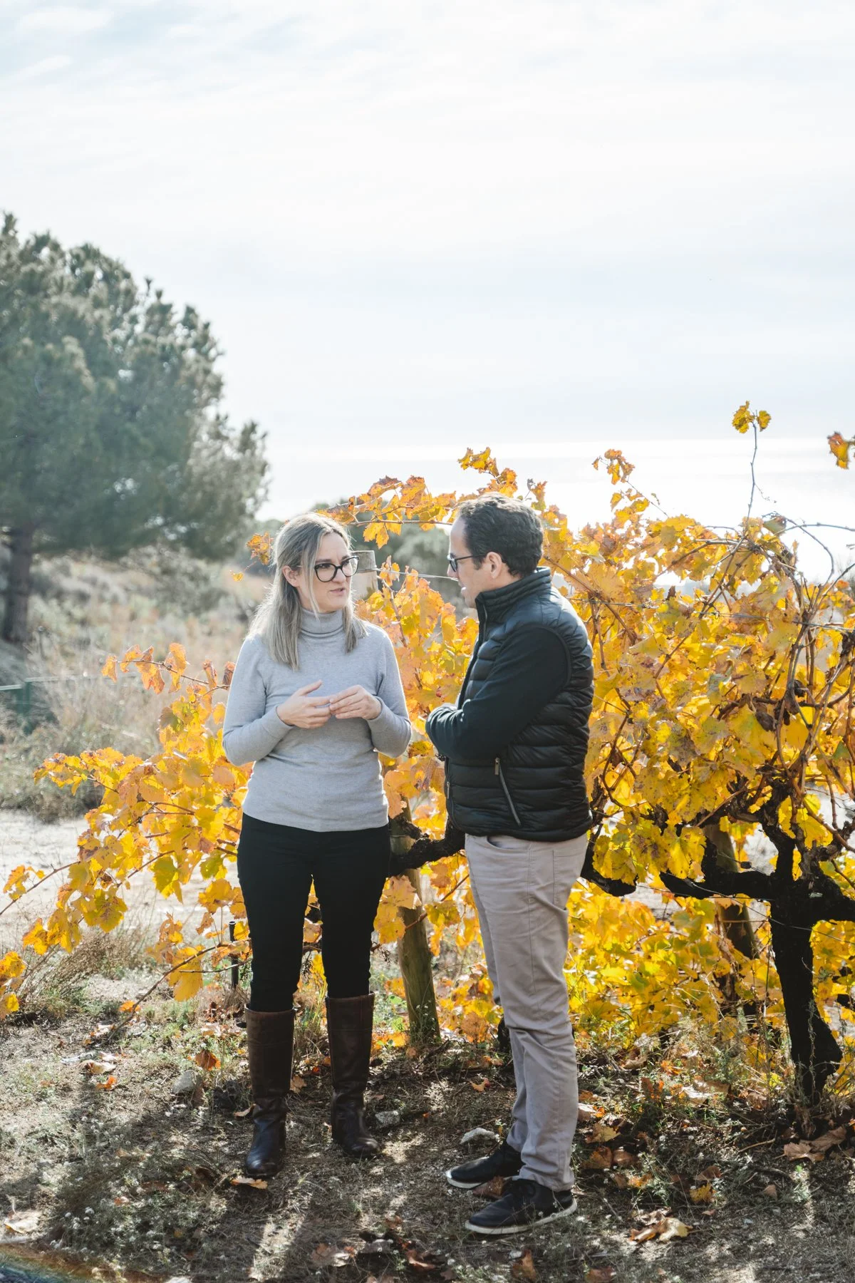 Essence 5 by Chartier