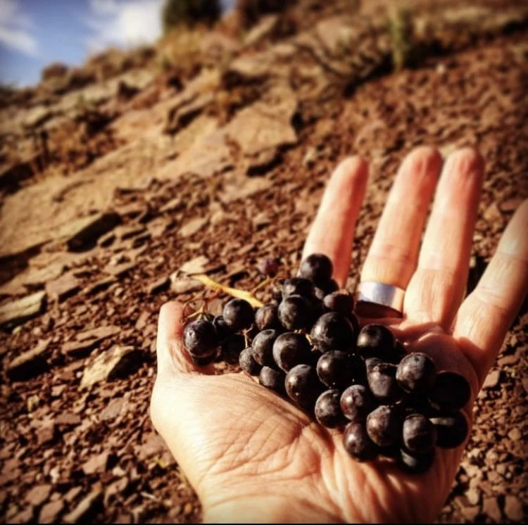 La Calandria - Pura Garnacha