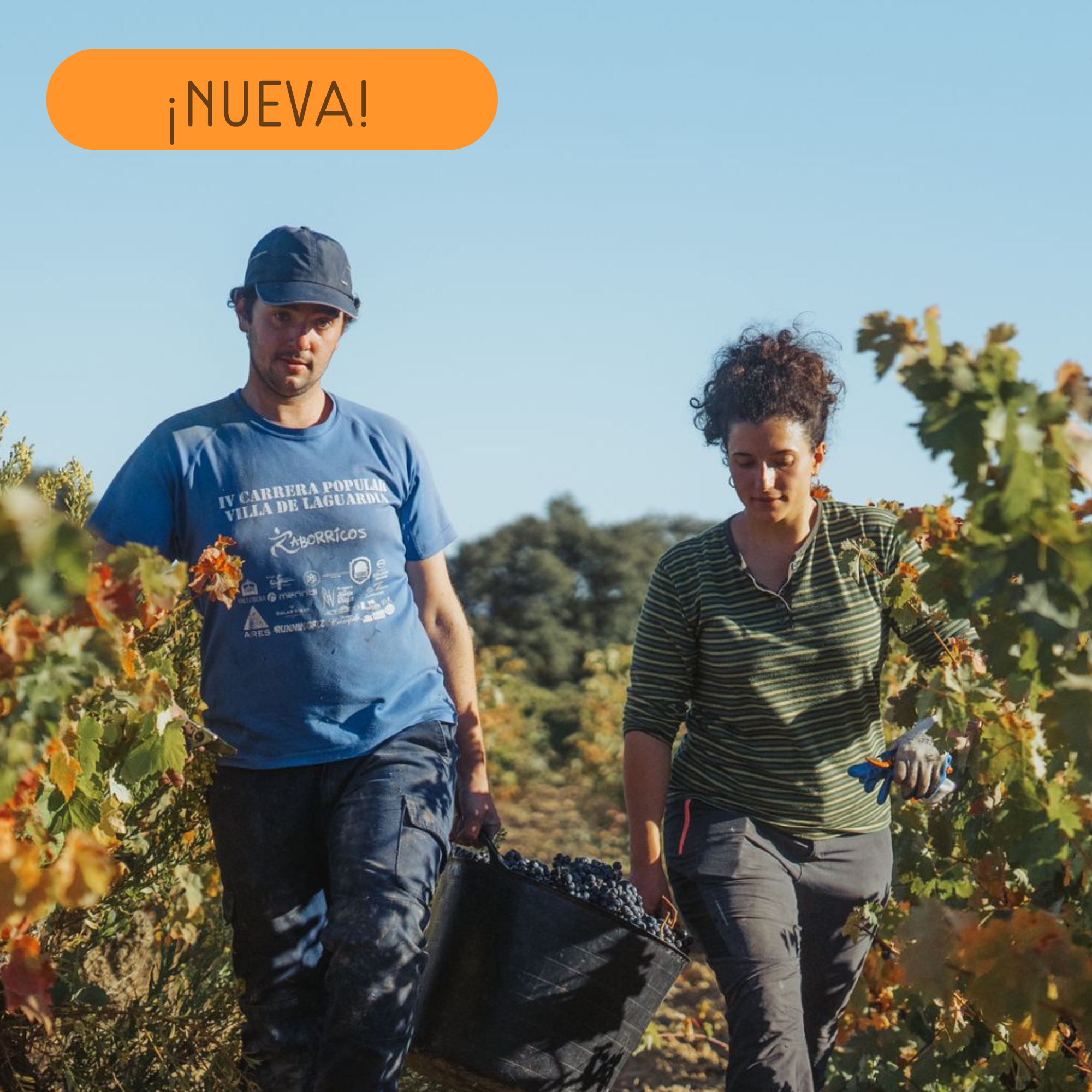 Guardianes del Reyno