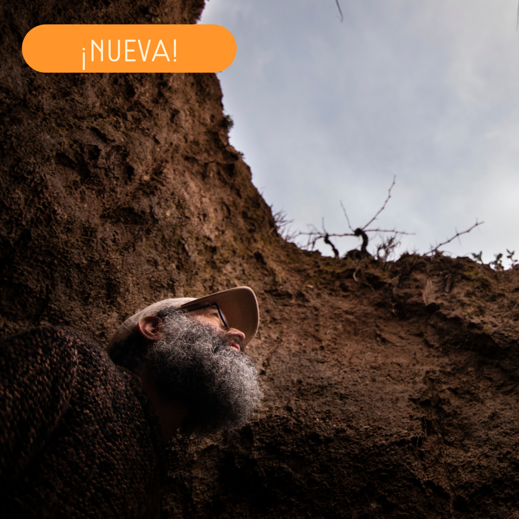 Vitícola Mentridana