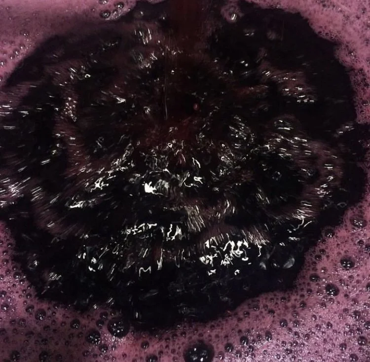 La Calandria - Pura Garnacha