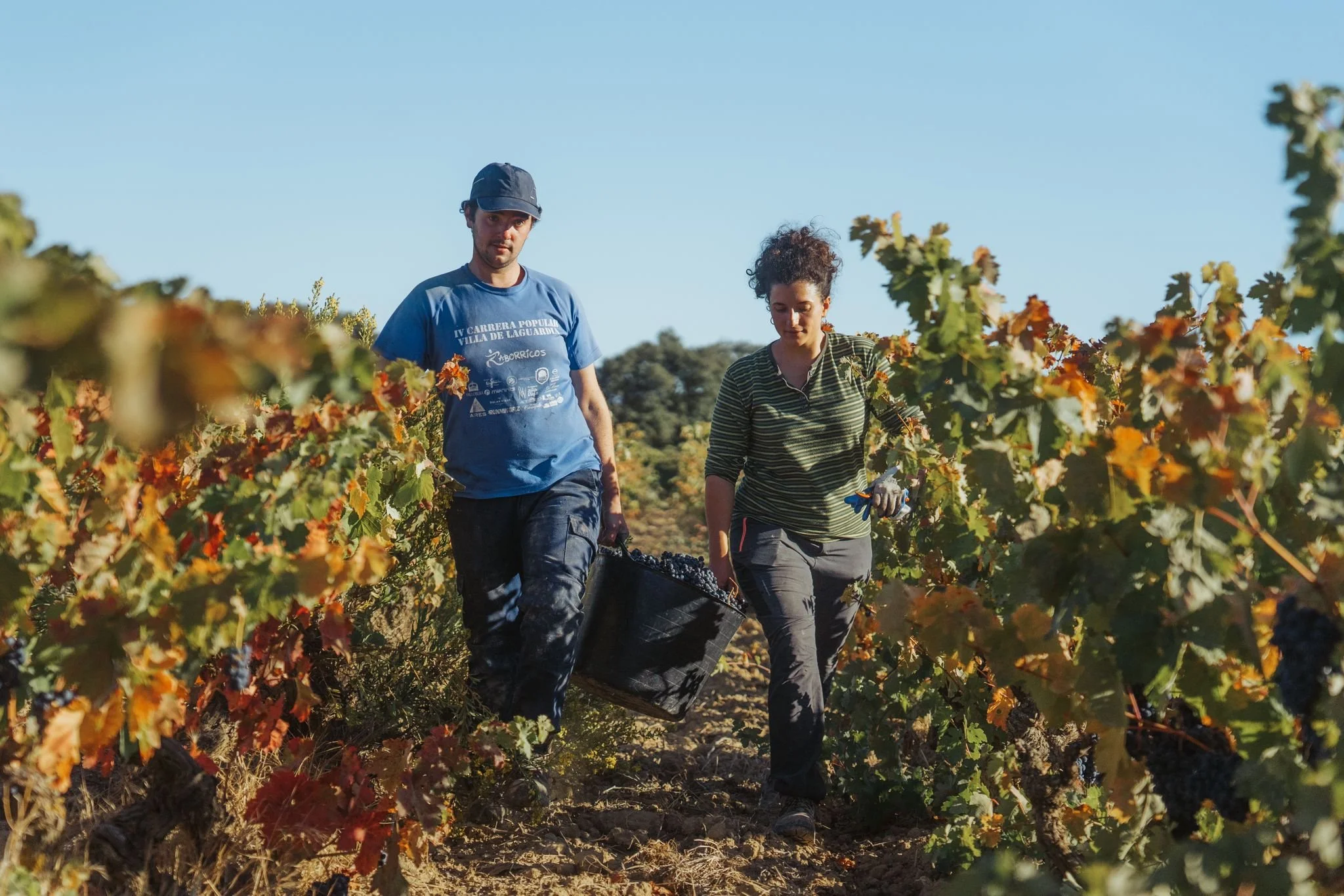 Guardianes del Reyno