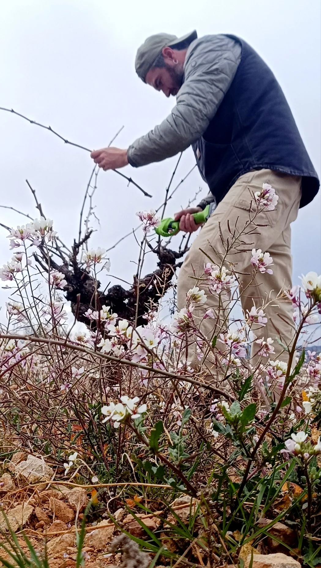 Entre Aldeas - Andrés Vergara