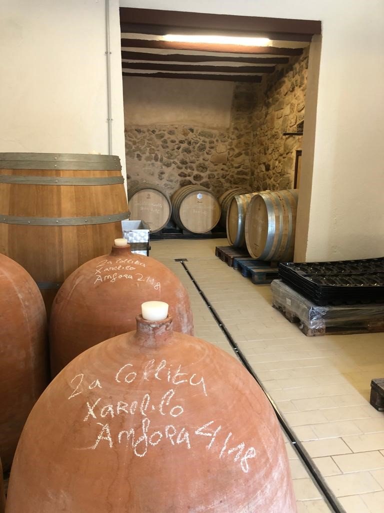 Bodega Clandestina