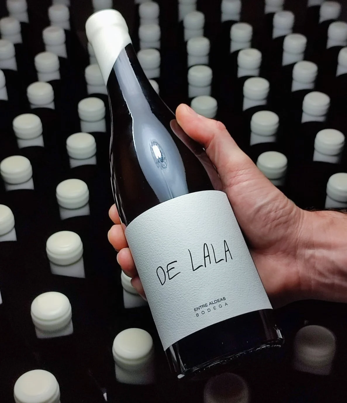 Entre Aldeas - Andrés Vergara