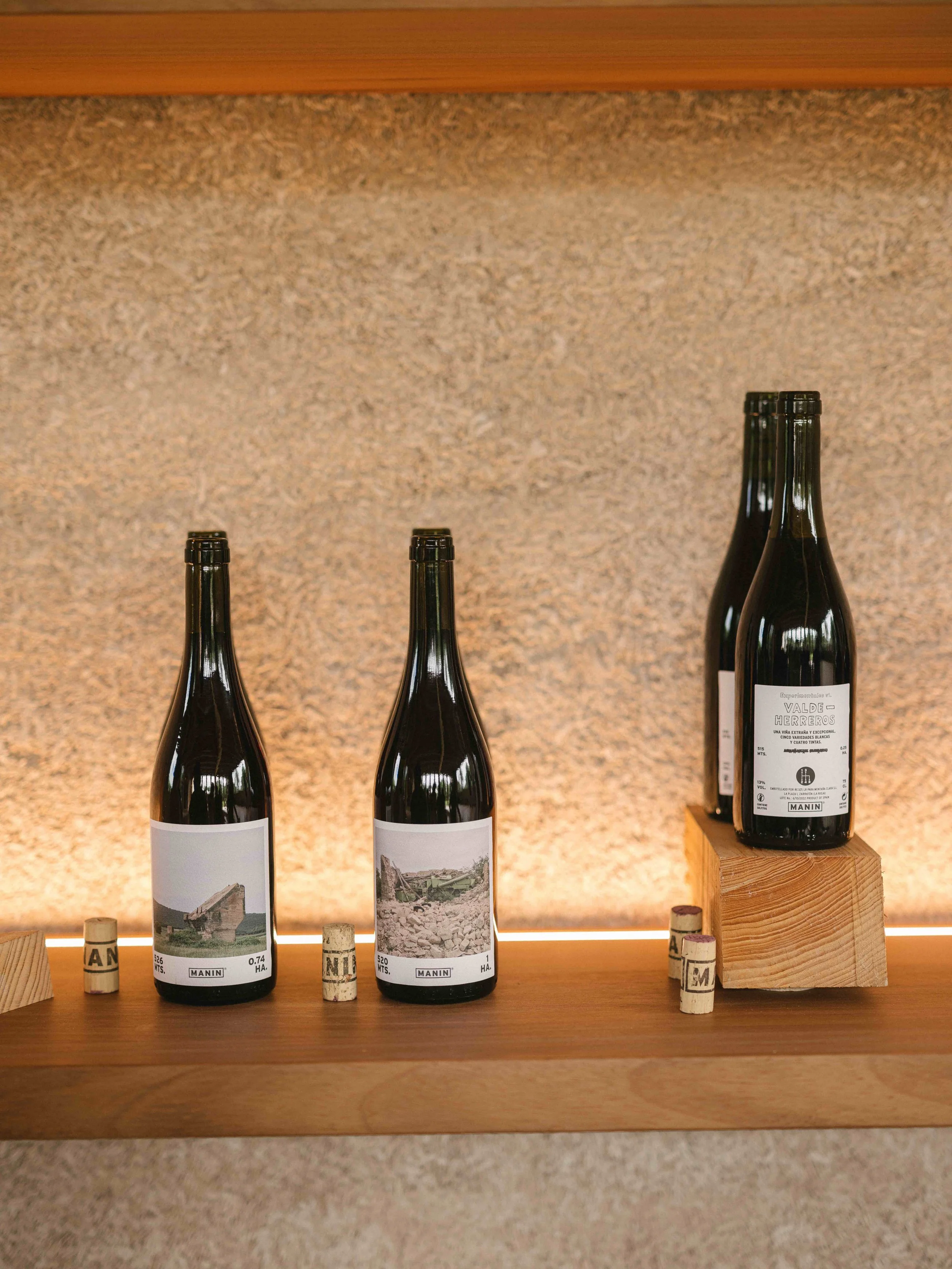 Manin y sus Muchachos