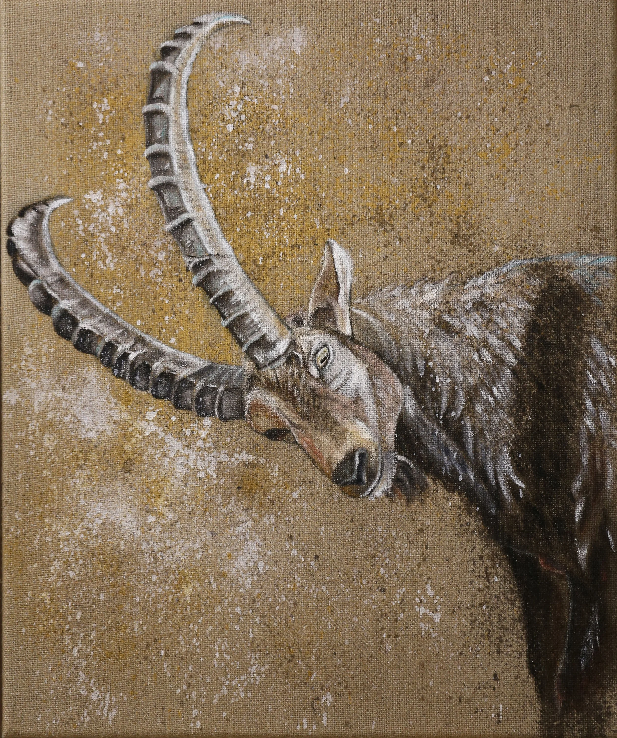 Ein Steinbock, der von rechts ins Bild hineinschaut, auf Jute gemalt