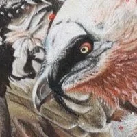 Ein Kunstwerk mit einem weißen und schwarzen Vogel, der in einem künstlerischen Stil gemalt ist.