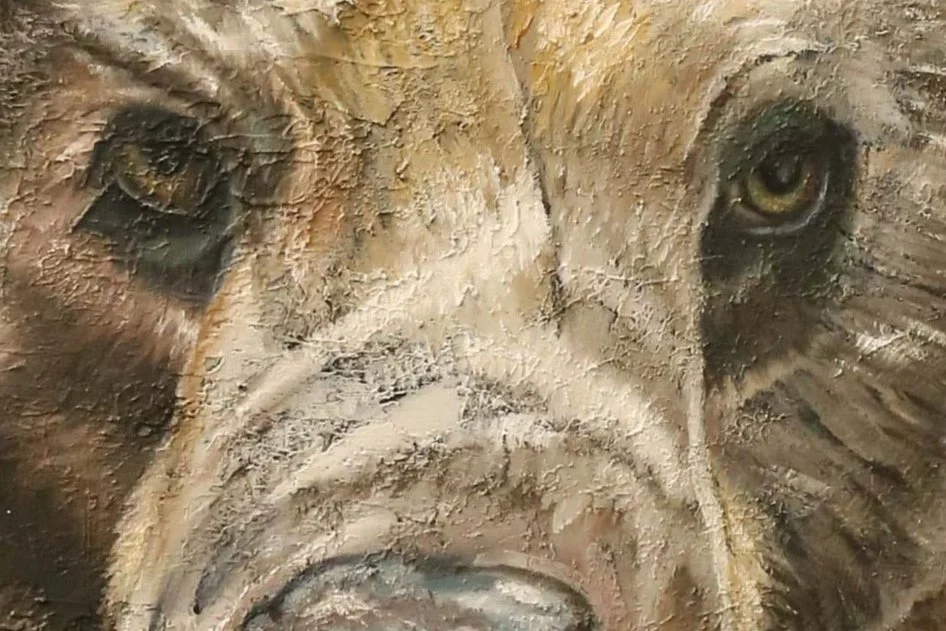 Nahaufnahme des Gesichts eines Tieres, wahrscheinlich eines Löwen, mit besonderem Fokus auf die Augen und die Nase.